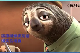 树懒的爆笑场面视频封面