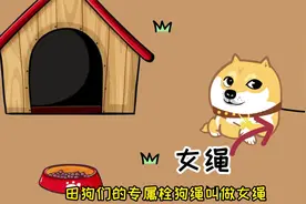 有一种狗叫田狗