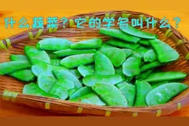 这种蔬菜吃了几十年，却不知道它的名字叫什么，只知道这样做好吃