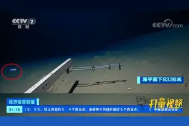 8300多米！人类在海洋中观测到鱼类最深纪录被刷新