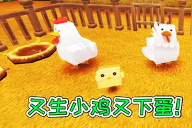 迷你世界20：新建养鸡场，又生小鸡又下蛋！宝妈趣玩