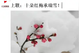 上联：十朵红梅承瑞雪！请对下联！视频封面