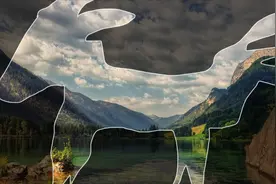 原来屏幕截图还可以这样玩，好可爱！你也赶紧试试吧