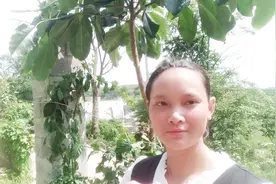 种植2年高3米的榕树搬家，原来大树移栽是有方法的，又学到技术视频封面