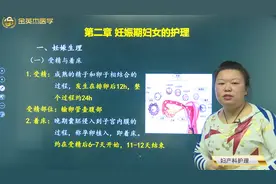 妇产科妊娠期妇女的护理-妊娠生理：受精与着床的特点和时间视频封面