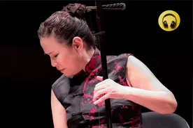 20首国语经典二胡伴奏 怀旧老歌曲 (二）