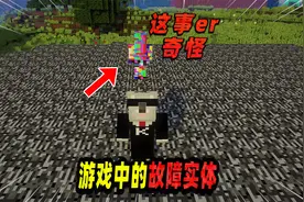 我的世界：游戏画面频繁发生故障，原因竟是一个乱码实体！