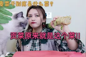 涮火锅的贡菜原来是这个菜！晒干后价格差10倍，贡菜制作学起来视频封面