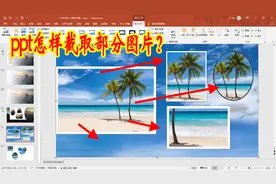 PPT如何截取图片的一部分？ppt怎样截取圆形部分图片？