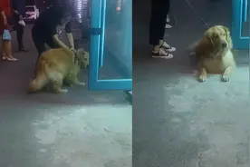 狗狗看见烤羊腿两眼放光，直接趴地上不肯走，店主的做法让人意外视频封面