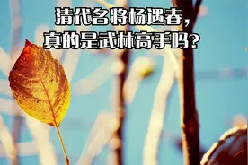 清代名将杨遇春，真的是武林高手吗？