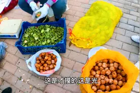 北京这家早市真热闹，卖的核桃皮薄饱满价格便宜，买的人真多视频封面