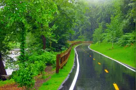 【强效催眠音乐】10分钟深度睡眠，鸟儿鸣唱+溪水潺潺