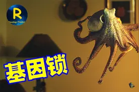 章鱼9个大脑会编辑基因，说不定还有外星血统，为啥没能创造文明视频封面