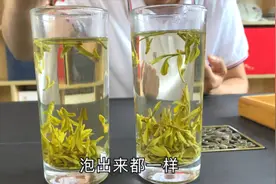 冰箱无意发现2018年的龙井茶，已经足足放了2年，这茶还能喝吗视频封面