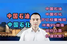 中国石油 中国石化 万亿权重难现冲高9%回落 低价凸显价值优势？视频封面