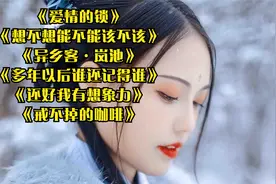 《爱情的锁》《多年以后谁还记得谁》《还好我有想象力》