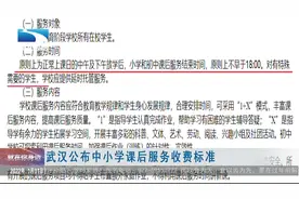 武汉公布中小学课后服务收费标准视频封面