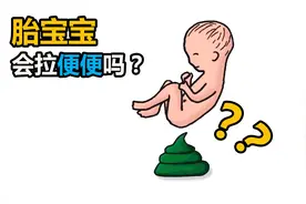 胎儿是如何排泄的？会在母亲肚子里拉便便吗？看完涨知识了视频封面