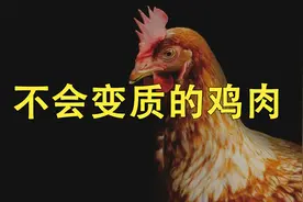 不会变质的鸡肉，让米国陷入了一场可怕的危机！视频封面