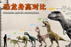 你知道最大的恐龙有多高吗？让我们做个对比，霸王龙排第几？