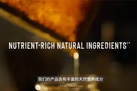 健合旗下Swisse斯维诗全面呵护全家营养健康，销量喜人！视频封面