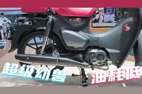 本田新款幼兽弯梁车，排量125，配ABS，售价2.4万，油耗仅1.25