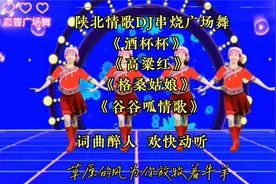 陕北情歌DJ四串烧《酒杯杯》《格桑姑娘》《高粱红》歌舞醉人心田
