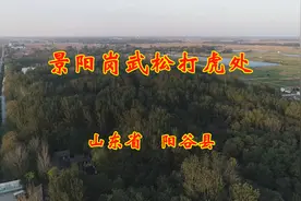 山东阳谷县的景阳岗武松打虎处