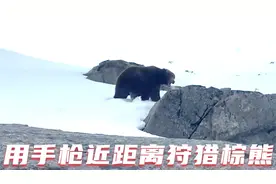 手枪近距离可以撂倒一头900KG的棕熊吗？猎人在阿拉斯加狩猎棕熊视频封面