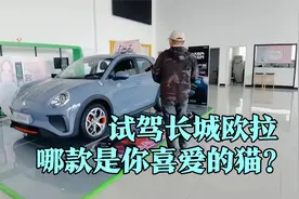 试驾长城欧拉电动车，白猫、黑猫、好猫到底哪款是你喜爱的猫？