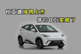 比亚迪海鸥4月上市，售价8万续航400！宏光mini地位不保！