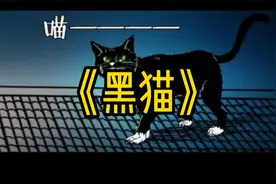 看见黑猫千万不要招惹，否则可要麻烦了视频封面