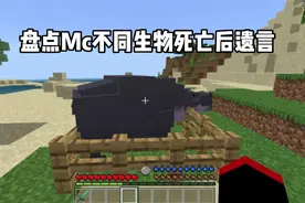 我的世界：盘点MC不同生物死亡后遗言，看完别哭！