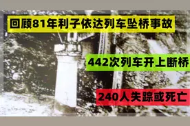 生死隧道阴阳两隔，记81年442次列车成昆线利子依达坠桥事故视频封面