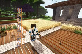 制作无限催熟工具|血舞我的世界诸神匠心11