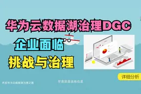 华为云数据湖治理平台DGC，企业面临的挑战与数据湖治理平台视频封面