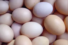 清洗鸡蛋是用凉水还是用温水？鸡蛋清洗后怎样保存？涨涨知识吧视频封面