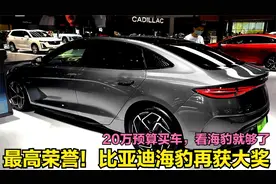 最高荣誉！比亚迪“海豹”再获大奖，20万级公认的国产最强B级车