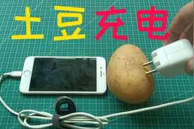 实测用土豆和可乐做充电宝，据说能给手机充电，这真的可以行吗？