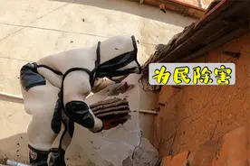 粉丝家里又发现一窝马蜂，阿敏帮忙处理，又可为民除害又有的吃！视频封面