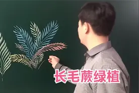 画绿植长毛蕨，运笔有技巧，一笔画成一片叶子，太强了