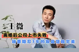 王微身家过亿，弃原配与谭元元相恋，为何只给前妻分10万如今怎样
