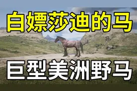 【荒野大镖客2】教你白嫖女武神莎迪的马