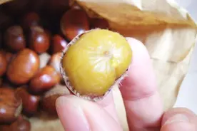 今天才发现，板栗壳上有“机关”，轻轻一剥皮自动脱离，学会真棒