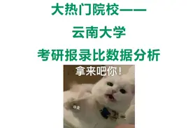 曾经瞧不上的211，如今成了大热门！最新考研报录比数据出炉！