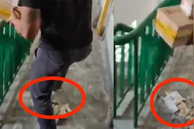 快递员被投诉后当客户面猛踩包裹 中通回应称：培训后仍可上岗视频封面