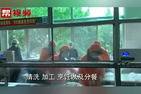 7所学校都有他们！石狮市场监管人员进驻复课中学，保卫食品安全视频封面