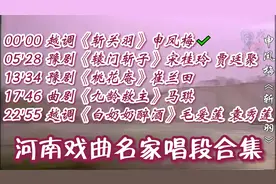 河南戏曲名家名段集锦，越调申凤梅、豫剧崔兰田、曲剧马琪等视频封面