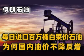 我国进口伊朗低价石油，每天高达100万桶，为何国内油价不降反增视频封面